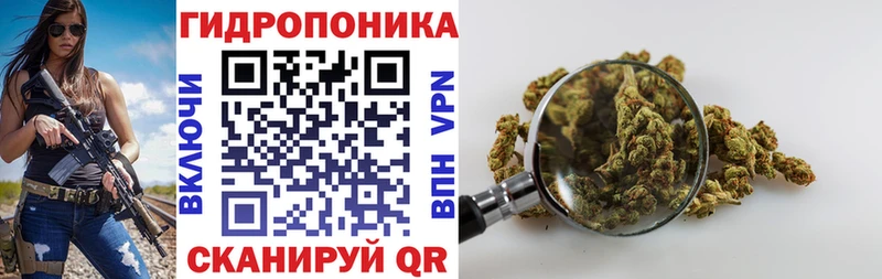 Канабис план Чернушка